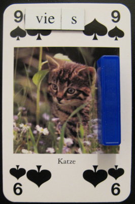 A nine of spades featuring a cat, an \'I\' magnet, and \'vies\' magnet positioned next to the nine