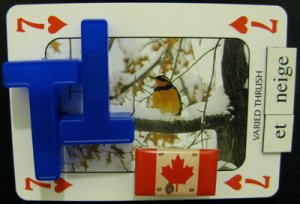 Varied Words for Snow